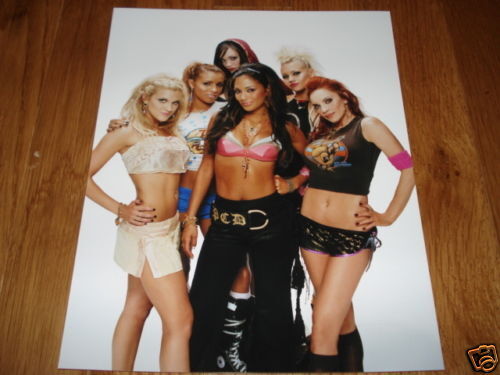 PussyCat Doll 8x10 Promo Photo Poster painting Color