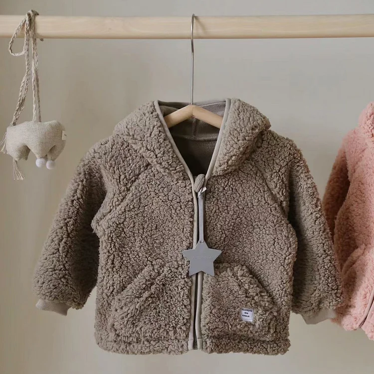 2025 Autumn/Winter New Warm Teddy Fleece Pointed Hood Plush Coat