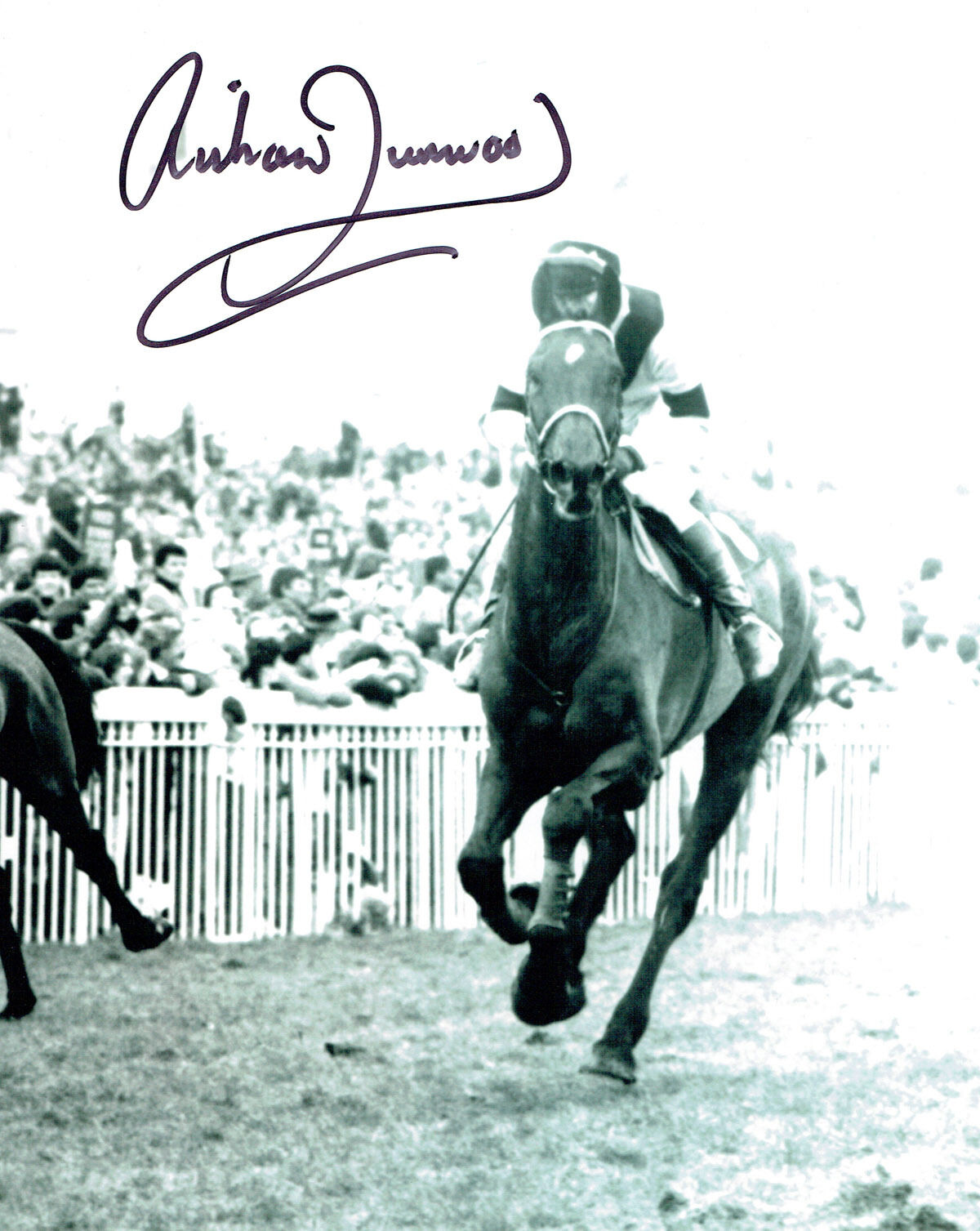 Richard DUNWOODY HAND SIGNED Autograph Jockey 10x8 Photo Poster painting AFTAL COA