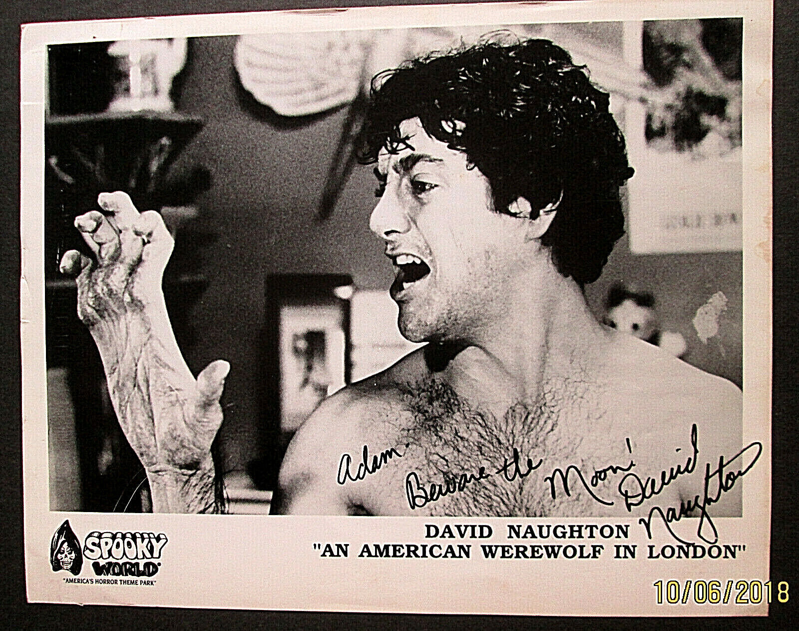 DAVID NAUGHTON: (AMERICAN WEREWOLF IN LONDON) ORIG,AUTOGRAPH Photo Poster painting (WOW)