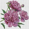 Peony-14CT Stamped Cross Stitch 31*30cm/12.2*11.81in tapestrymarket