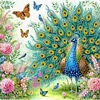 (US Local)4Pack Peacock-Crystal Rhinestone Diamond Painting(30x30cm)