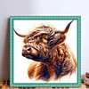 Yak-14CT Stamped Cross Stitch 40*40cm/15.75*15.75in