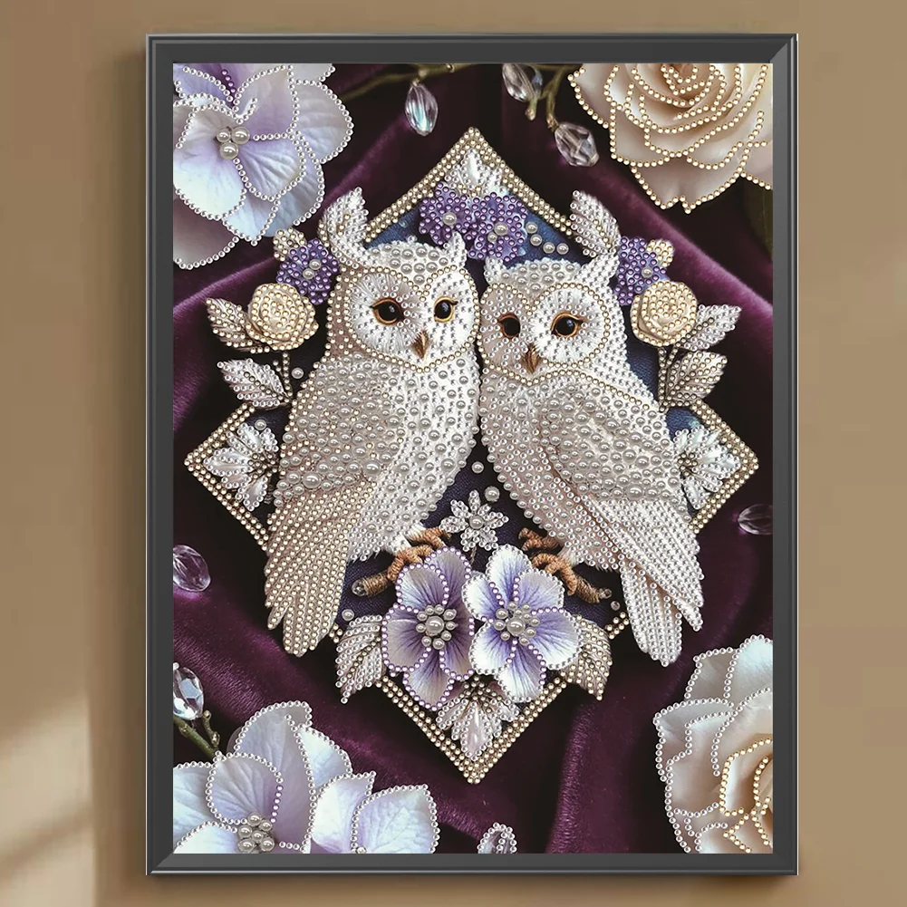 Pearl Twin Owls Special Shaped 5D DIY Partial Drill Diamond Painting Kit Home Art 30x40cm
