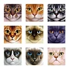 Cat | Full Round/Square Diamond Painting Kits | 20x20cm | 30x30cm