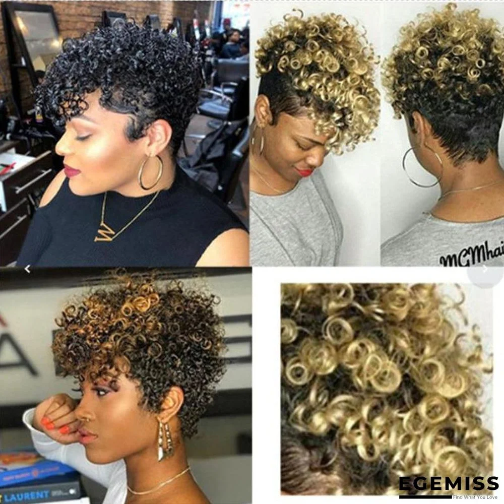 Fashion and Popular Bleaching and Dyeing Wig High Temperature Silk Fluffy Short Curly Hair | EGEMISS