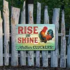 Chicken - Vintage Metal Signs - 20*30cm/30*40cm