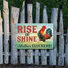 Chicken - Metal Tin Signs(8*12Inch/12*16Inch) - Animal