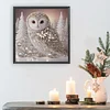 Pearl Snow Owl-Special Shaped Diamond Painting