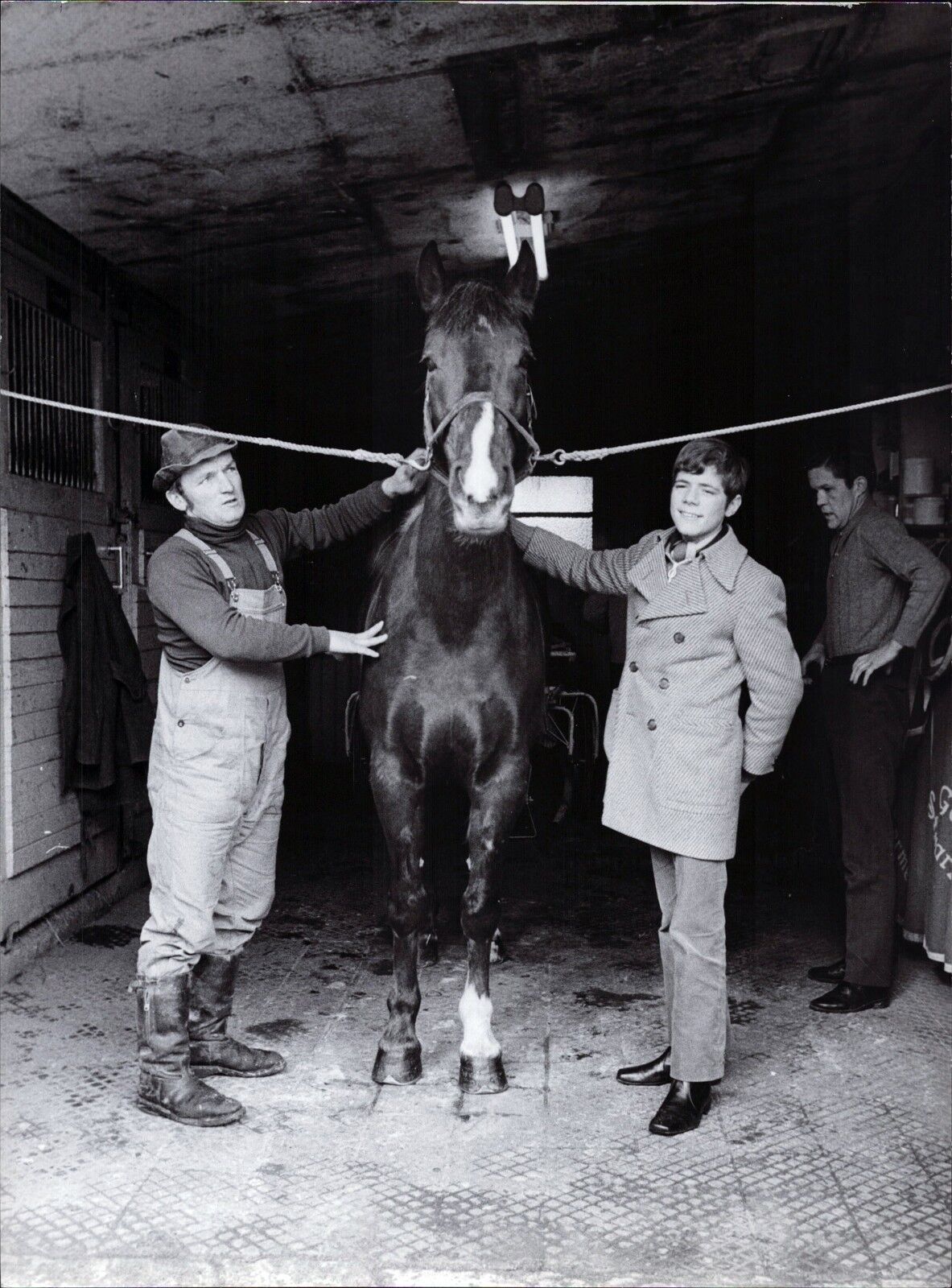 Heintje With Pferd - Vintage Press Photo Poster painting Norbert Unfried (U-4019