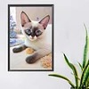 Diamond Painting-DIY Full Round Drill Cat(45*30 cm)