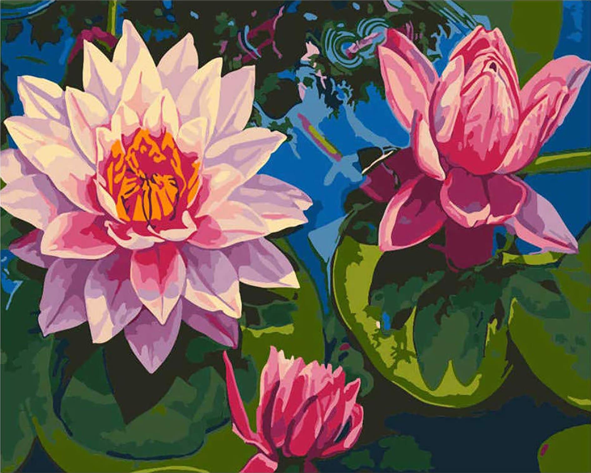 

Lotus Flower On Water – Paint By Numbers - 40*50CM, 501 Original