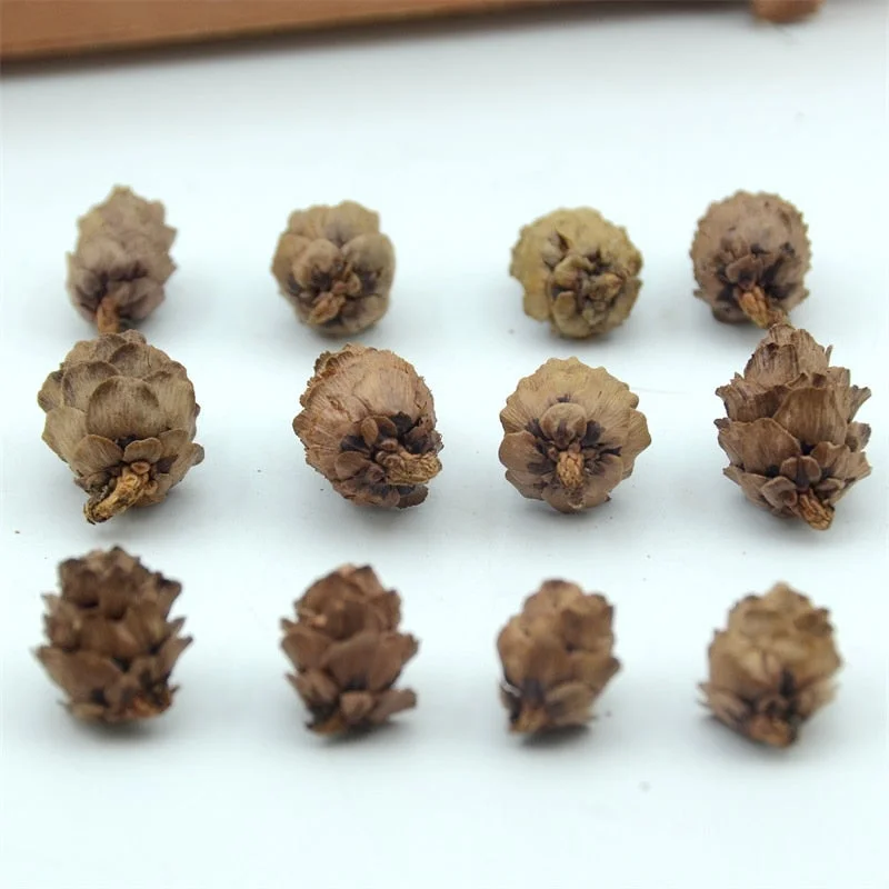 50pcs Natural Cheap Mini Pine Nuts Artificial Fake Fruit Vegetable For Home Wedding Decoration Christmas Tree Decoration