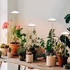 Full Spectrum Grow Lights Height Adjustable Plant Growing Lamp for Indoor Plants