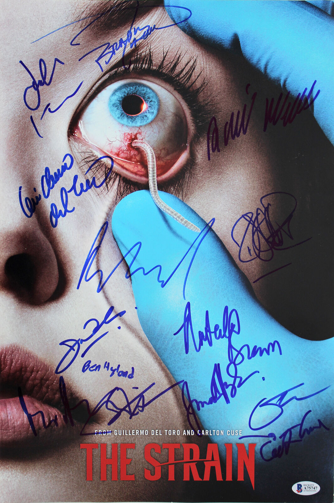 The Strain (14) Del Toro, Brown, Downes Hyland Signed 12x18 Photo Poster painting BAS #A75747