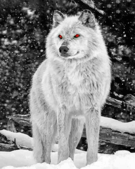 

The Angelic Wolf – Paint By Numbers - 40*50CM, 501 Original