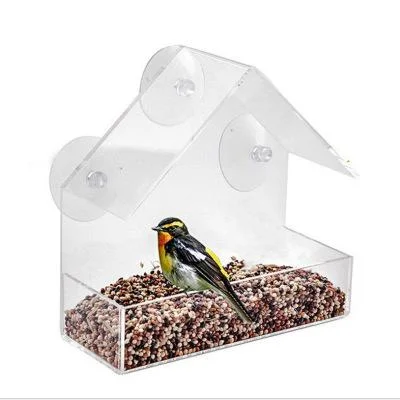 Window Bird Feeder- See Songbirds from Home!