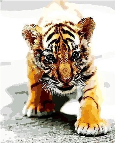 Animal Tiger Paint By Numbers Kits UK For Adult HQD1262