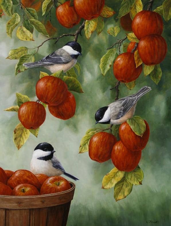

Apple Tree with Bird – Paint By Numbers - 40*50CM, 501 Original