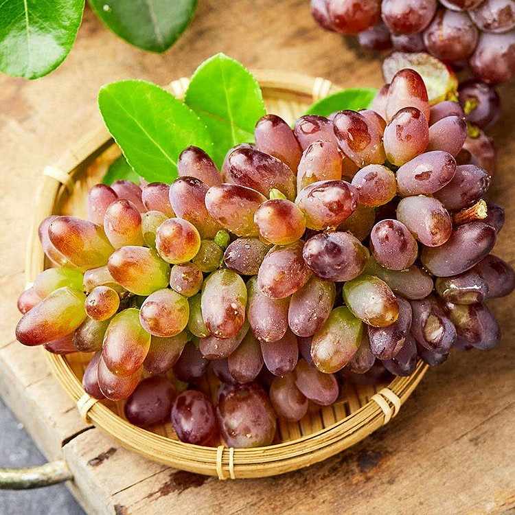 Jasmine Grape Seeds