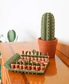 Cactus Succulent Themed Chess Set | Portable Magnetic Travel Chess