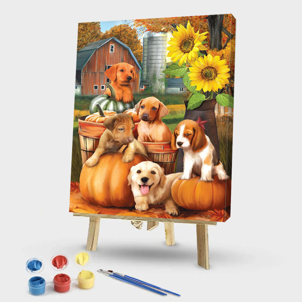 

40x50cm - Paint By Numbers Pumpkin Dog, 501 Original