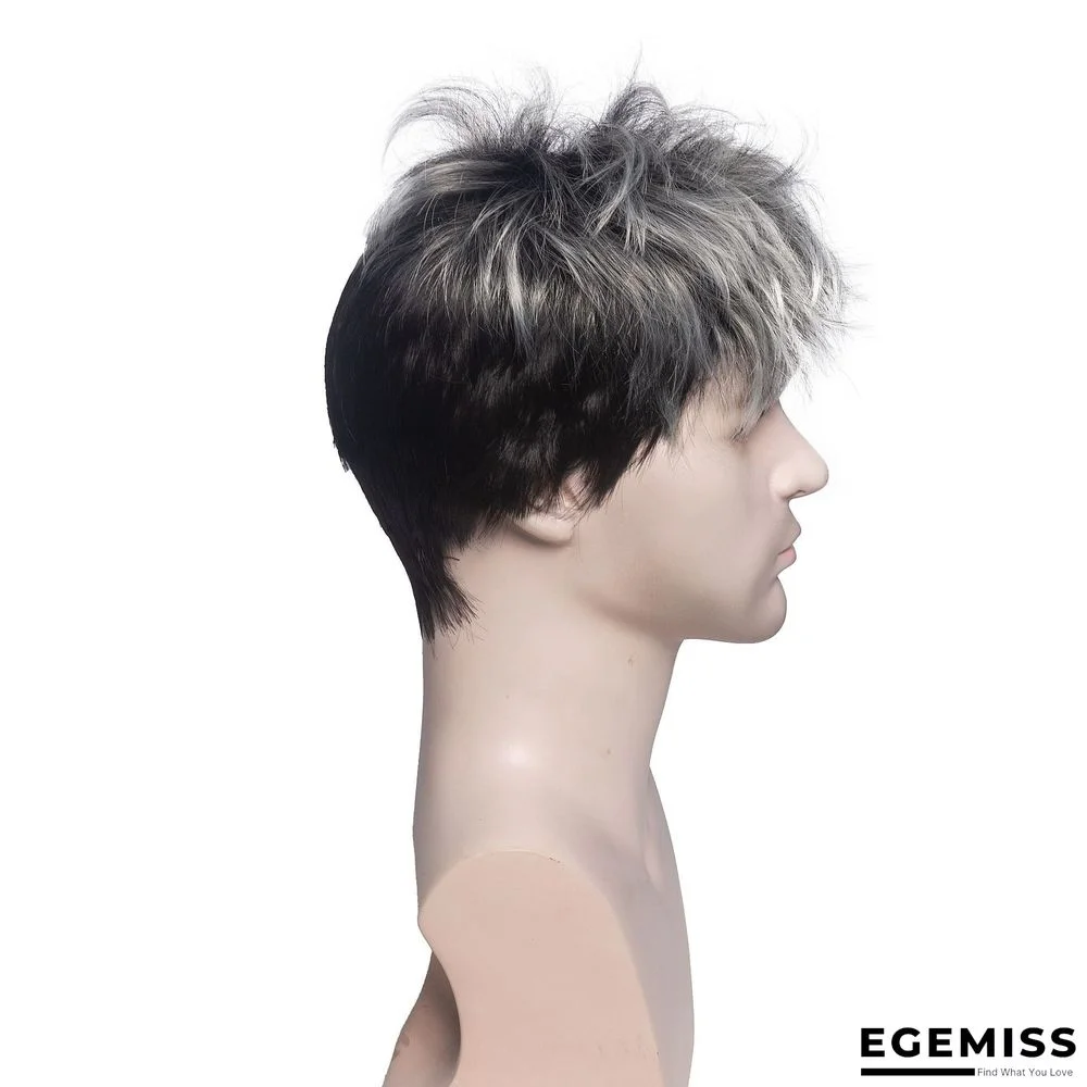 Chemical Fiber Wig European and American Men's Wig Headgear | EGEMISS