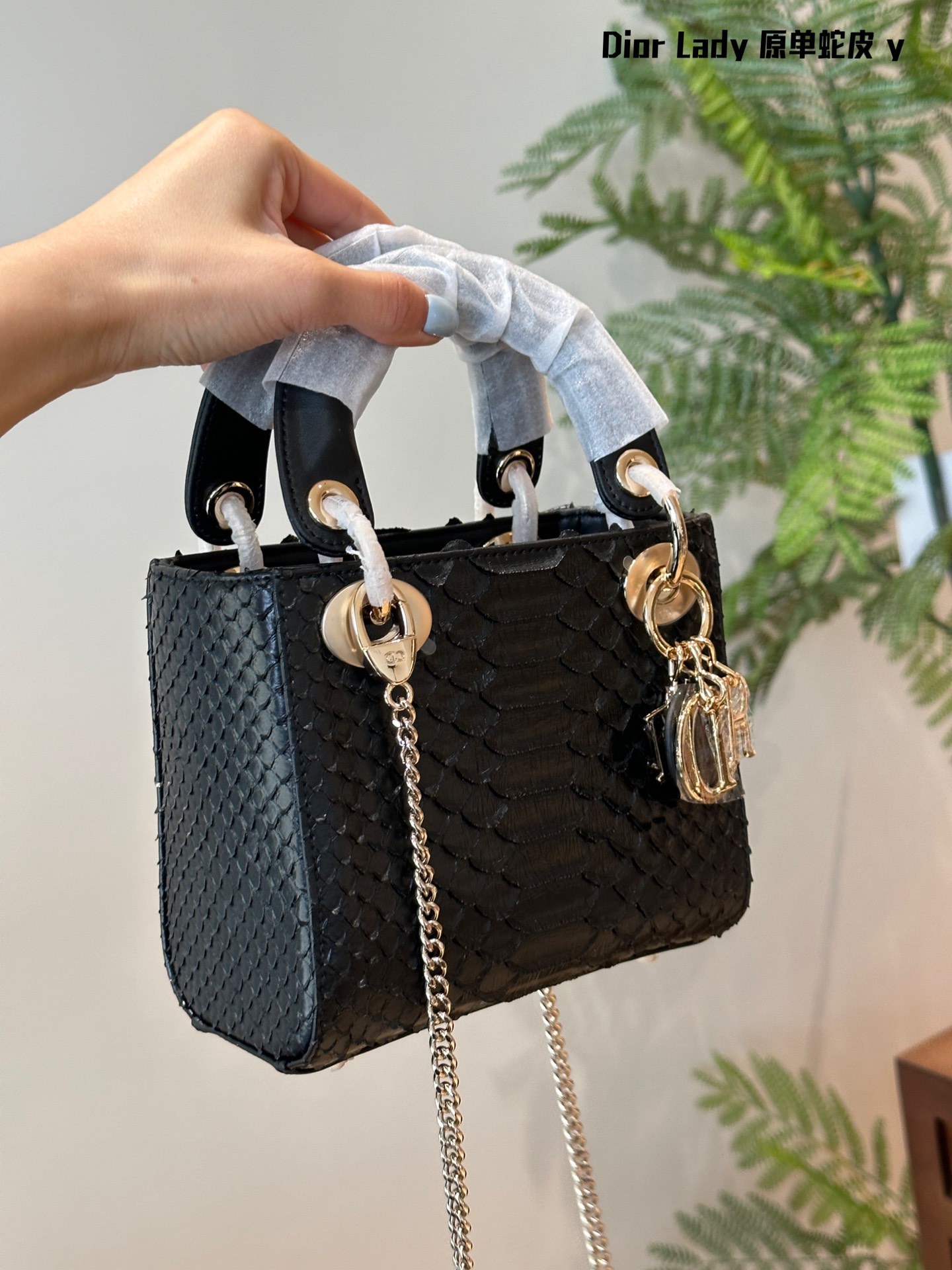 7bd4330bb216c55d66fc108e5e61eca7