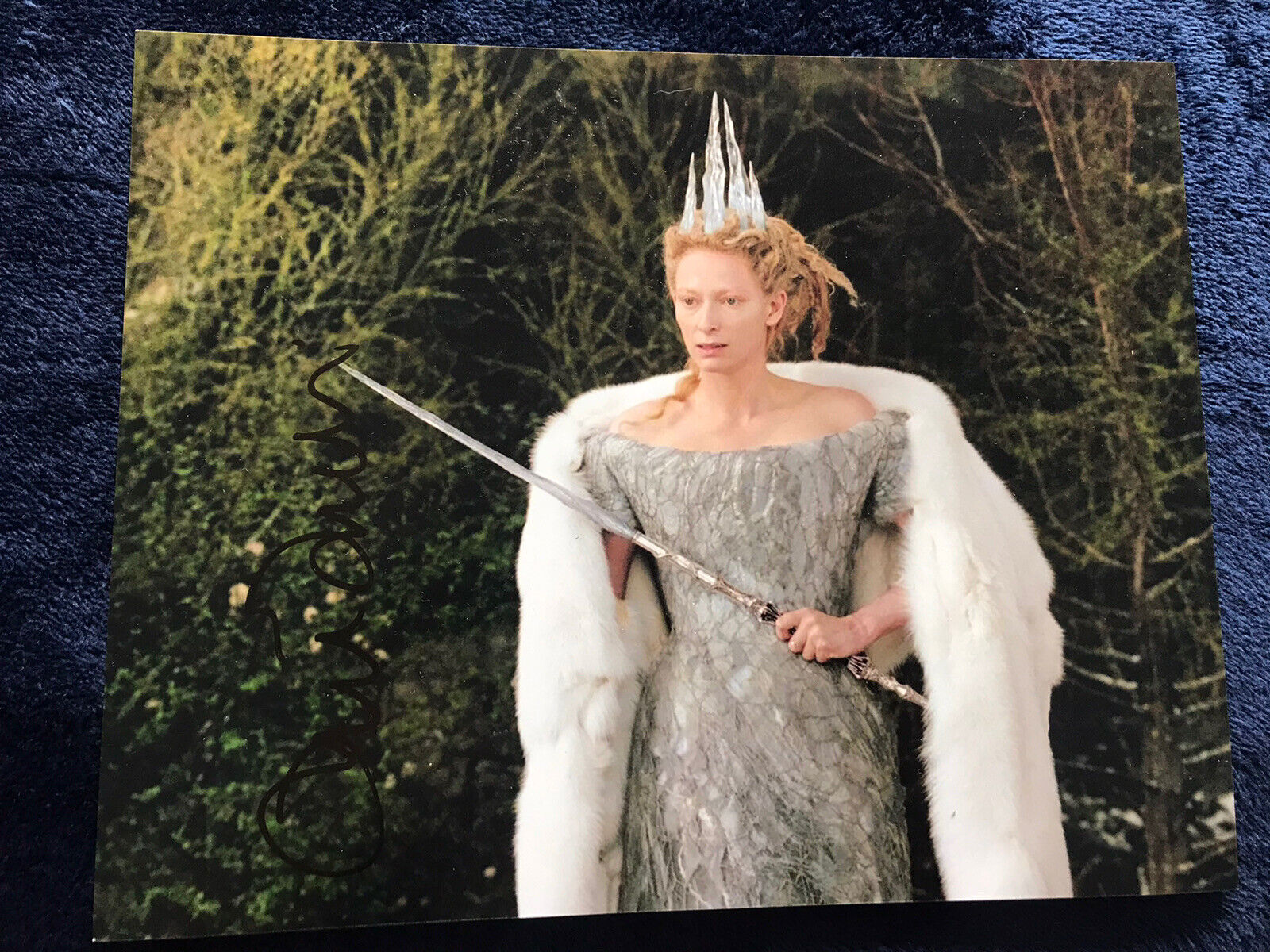 Tilda Swinton Signed White Witch Narnia 10x8 Photo Poster painting