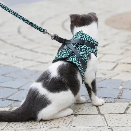 Cat Vest Harness And Walking Leash