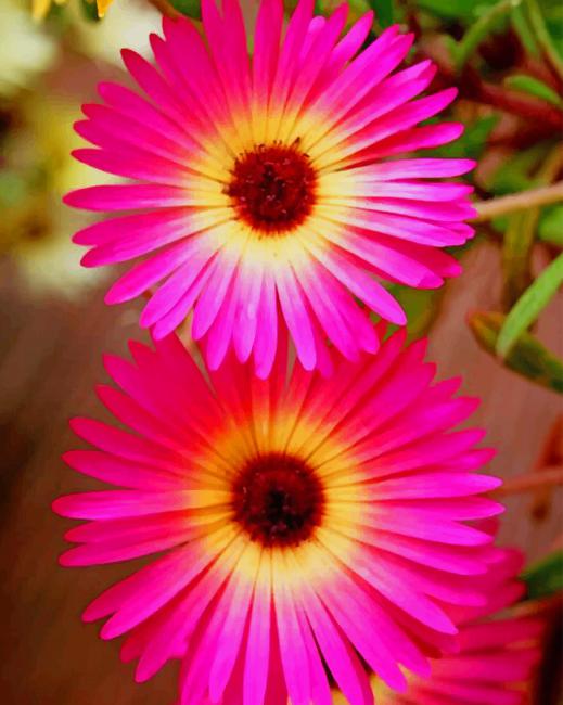 

Pink Daisies – Paint By Numbers - 40*50CM, 501 Original
