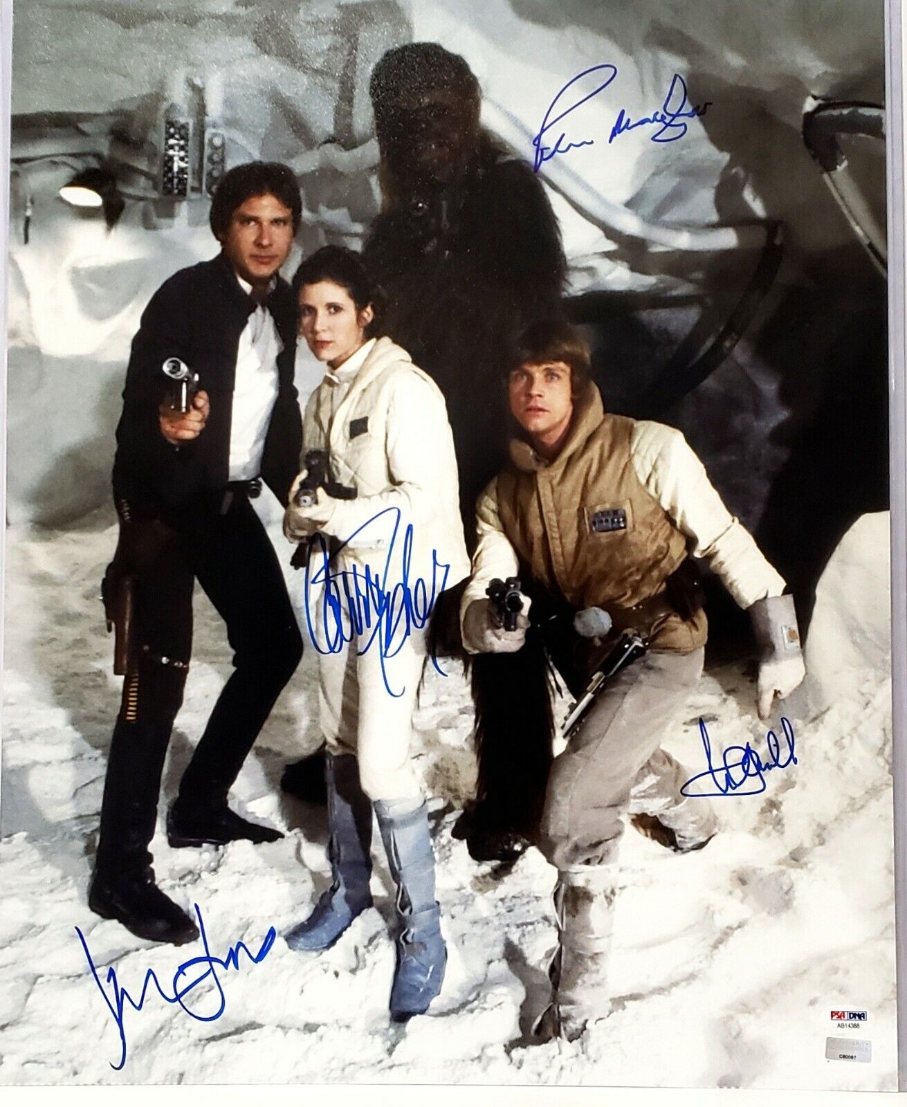 STAR WARS Cast (FORD FISHER HAMILL MAYHEW) Signed 16x20 Photo Poster painting Graded PSA/DNA 10