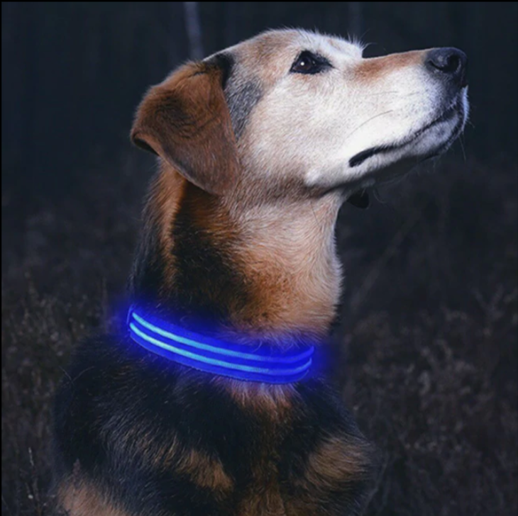 Rechargeable LED Collar For Dog