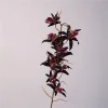 11 Heads Dendrobium Artificial Stem Flower