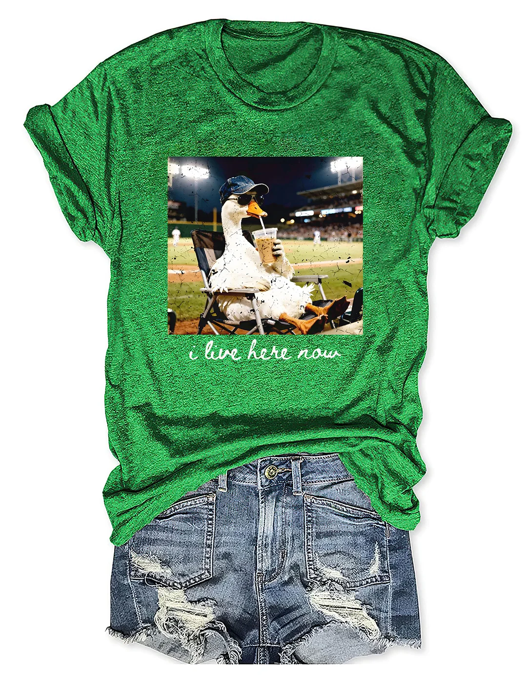 I live Here Now Goose Ballfield T-shirt