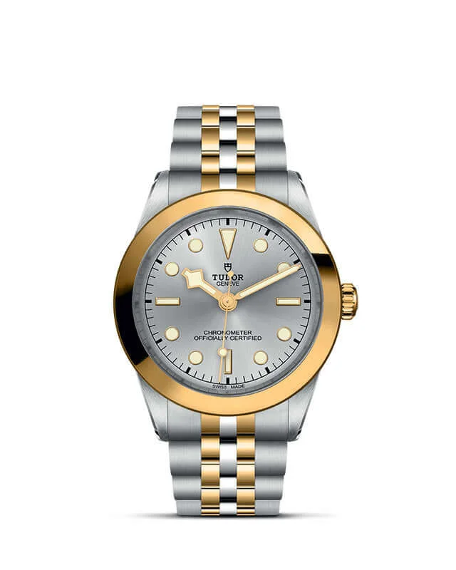 Tudor Black Bay 39 S&G