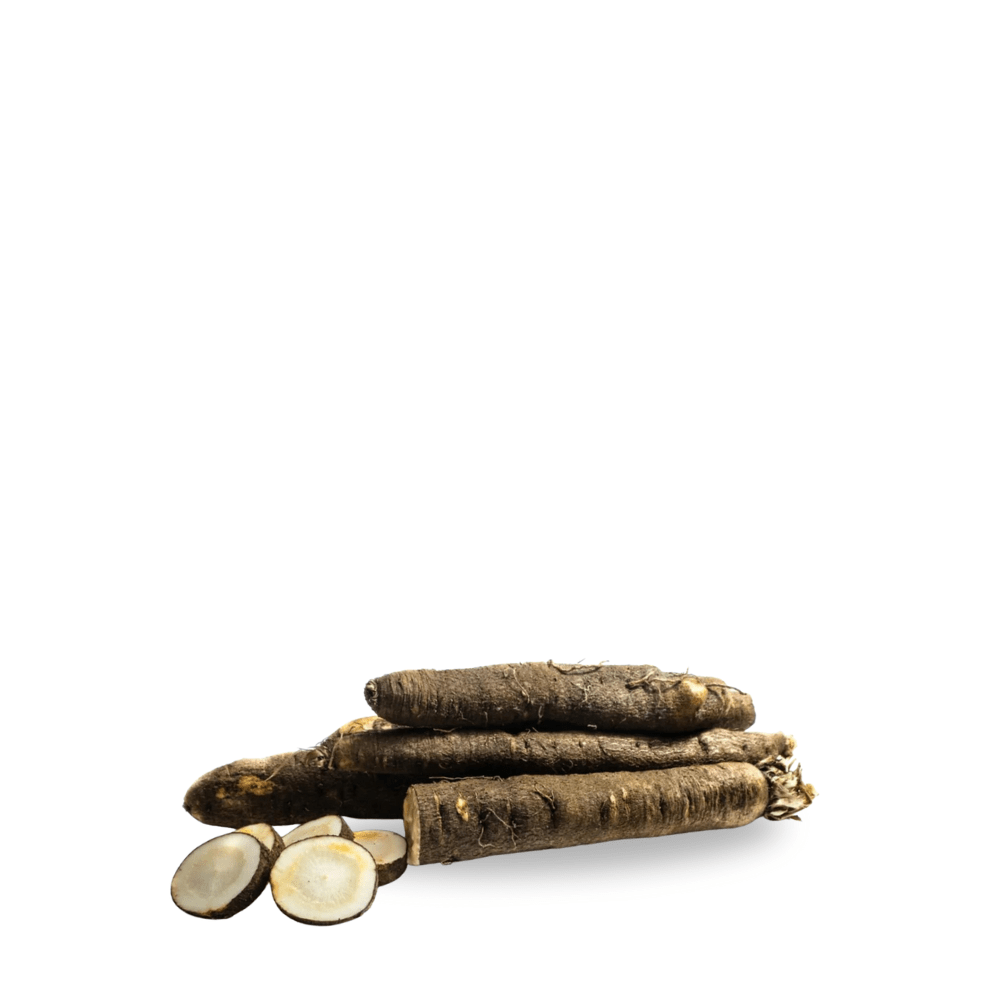 Heirloom Salsify Seeds &ndash; Black Variety