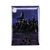 Dreaming Night Castle