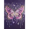 30 * 40CM speziell geformtdiamant Malerei-Schmetterling
