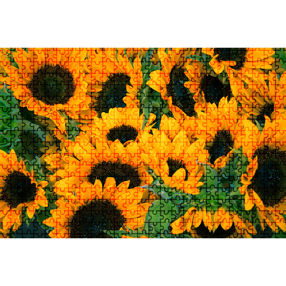 

Beautiful Sunflower - 1000 Pieces Jigsaw Puzzle, 501 Original