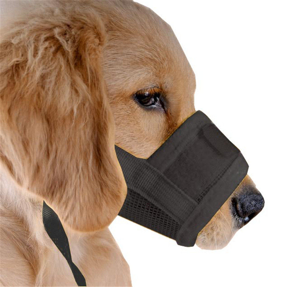 dog muzzle for biting