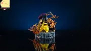 PRE-ORDER Pets Studio Pokemon  Pikachu Cos Rayquaza Statue(GK)