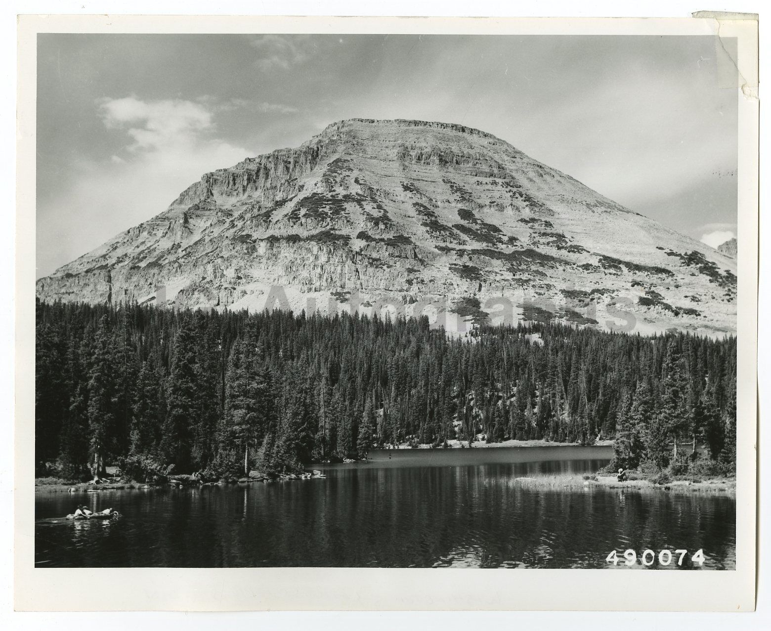 Washington State History - Bald Mountain - Vintage 8x10 Photo Poster painting by Bluford W. Muir