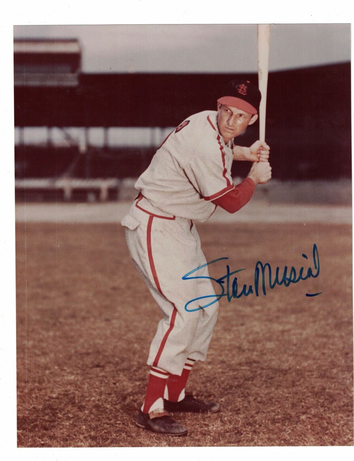 Stan Musial St. Louis Cardinals Signed 8 x 10