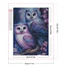 >SALE<5D DIY Full Round Drill Partial AB Diamond Painting Owl Decoration 45x55CM