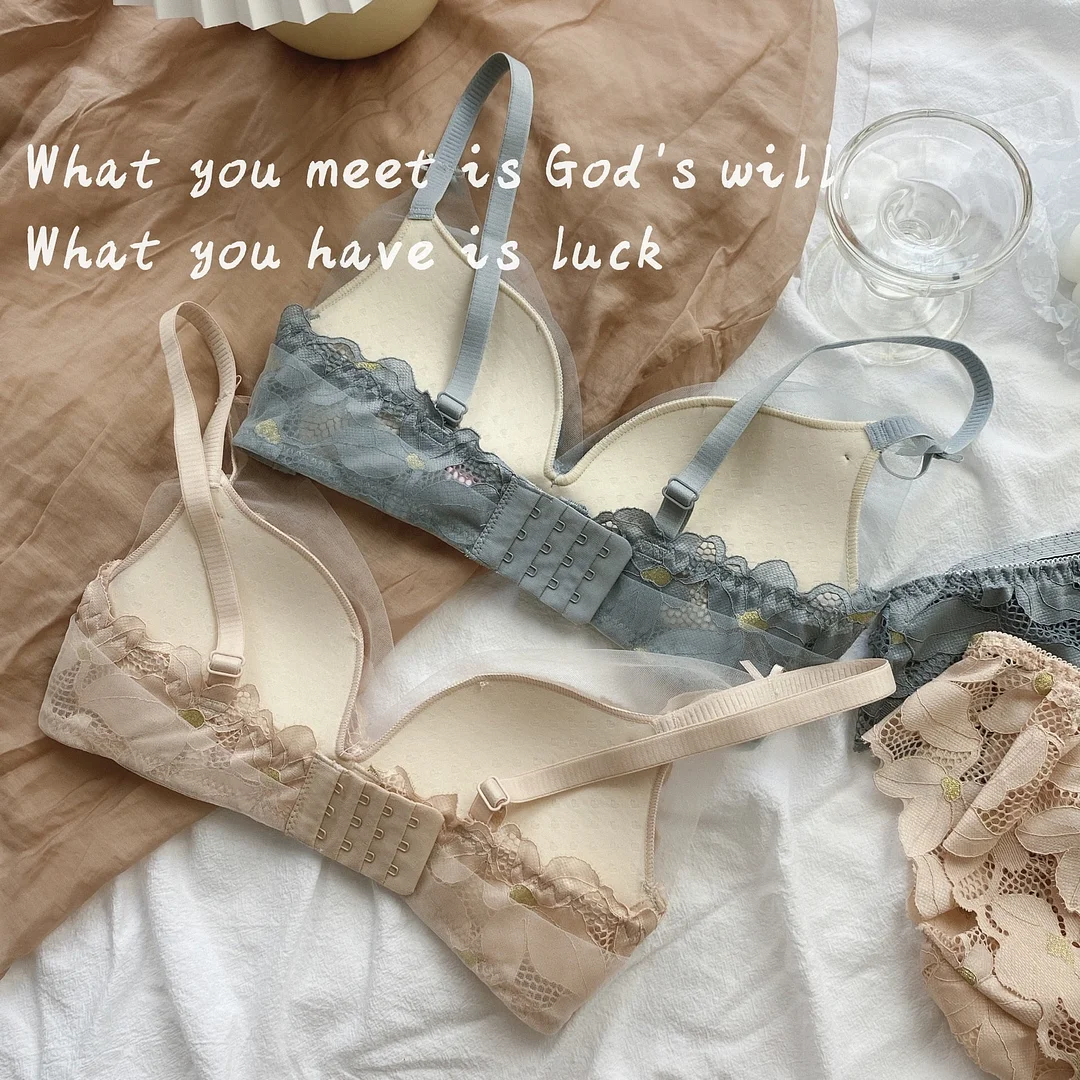 French  Bra Briefs Set Sexy Lace Underwear Fashion Push Up Comfort Brassiere Low Waist Seamless Panties Female Sexy Lingerie Set