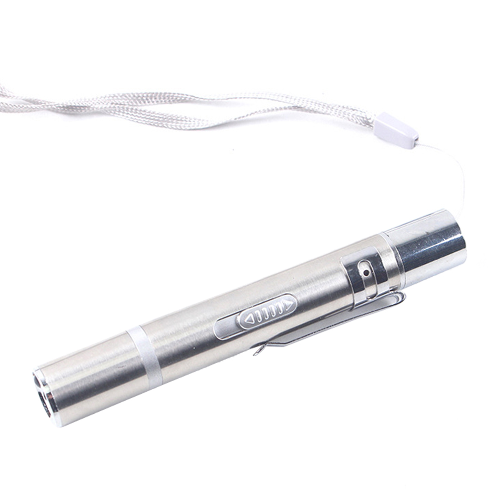 

1pc Portable Pet LED Laser Toys USB Dog Cat Training Infrared Laser Pointer, 501 Original