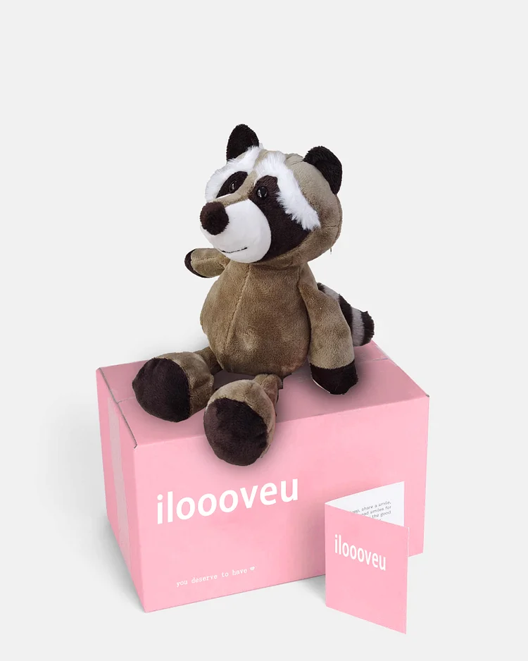 Brown Sitting Raccoon