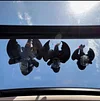 Toothless Little Dragon Wings Vibrate Car Roof Skylight Decoration Doll