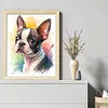 Boston Terrier Dog-11CT Stamped Cross Stitch 40*50cm/15.75*19.69in tapestrymarket